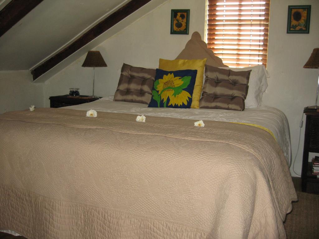 Cape Cottages Sunbird Aloe McGregor Room photo